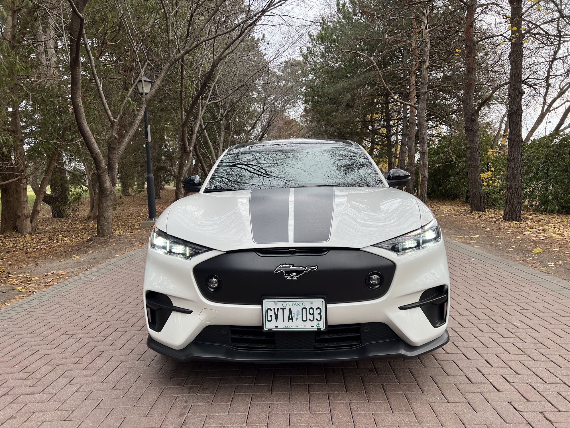 馬年大吉，馬到功成，勢如奔馬，龍馬精神！